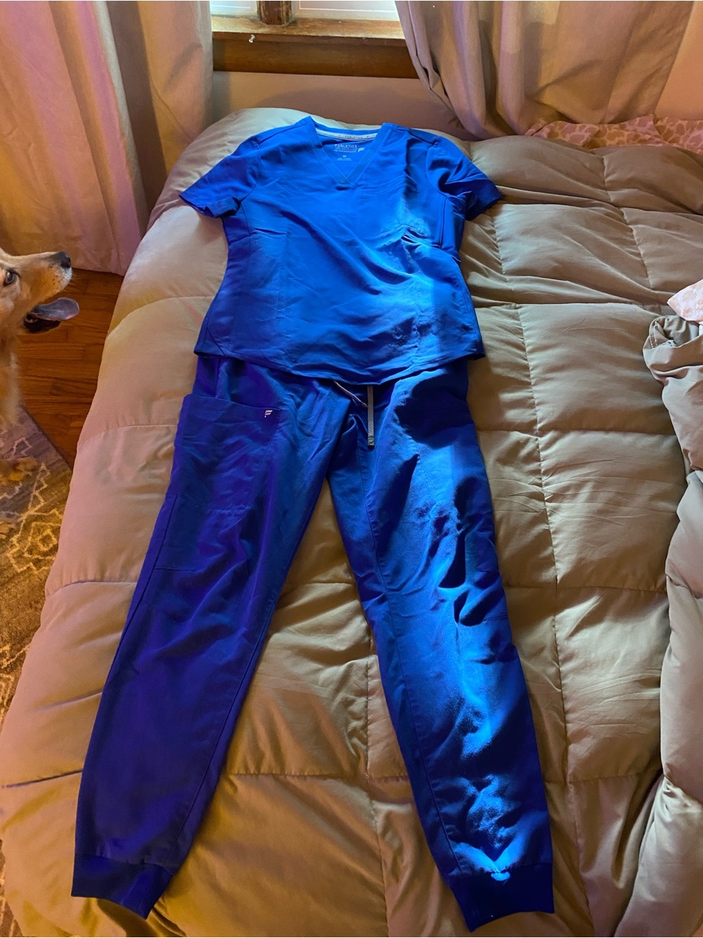 Fabletics Royal Blue Scrub Set